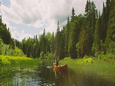 The Path of Grey Owl